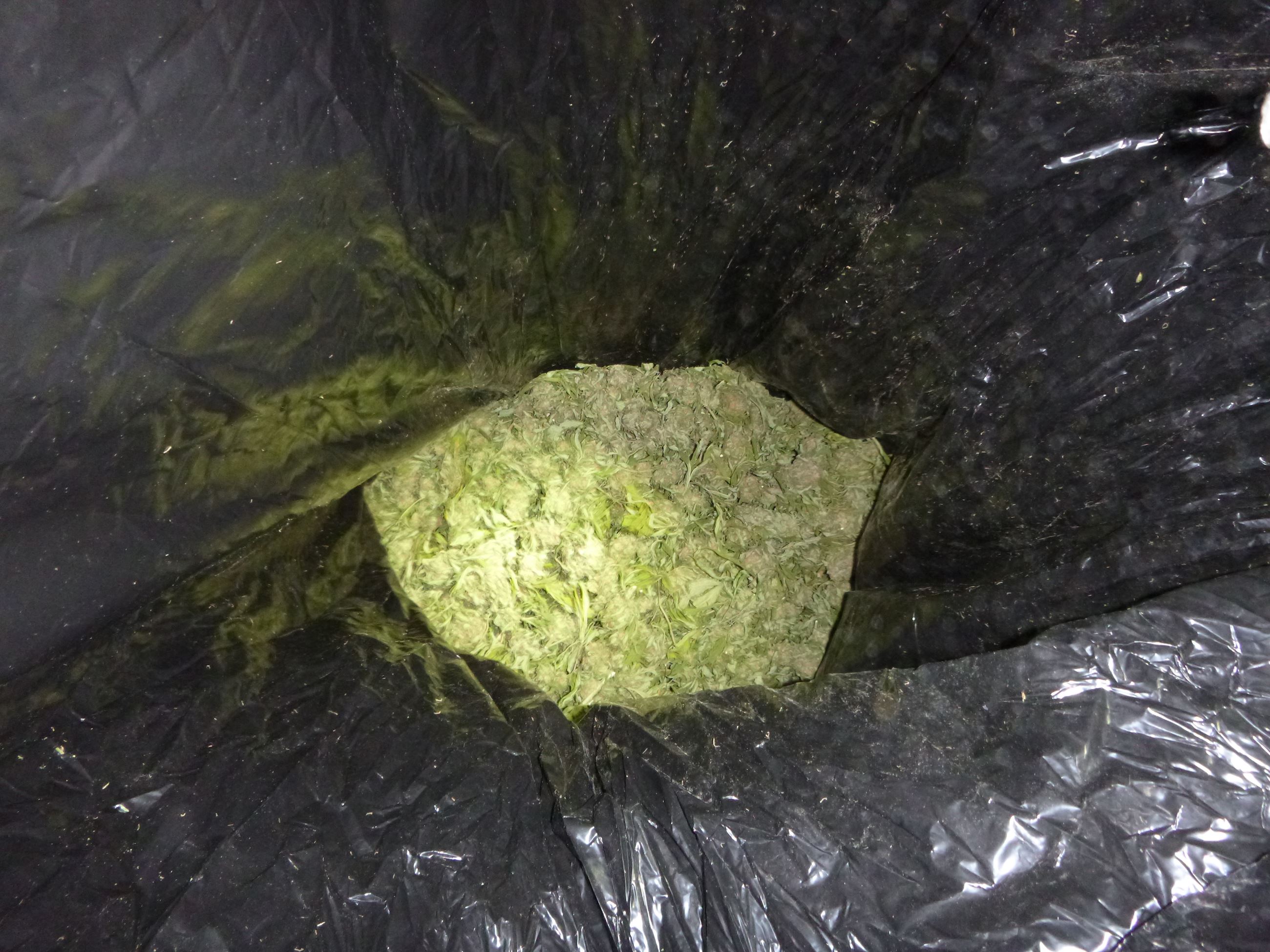 Marijuana Arrests - Cases 201605182 & 201605186